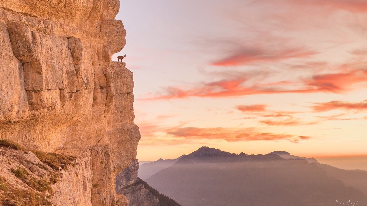 Photo of Others in Corbel