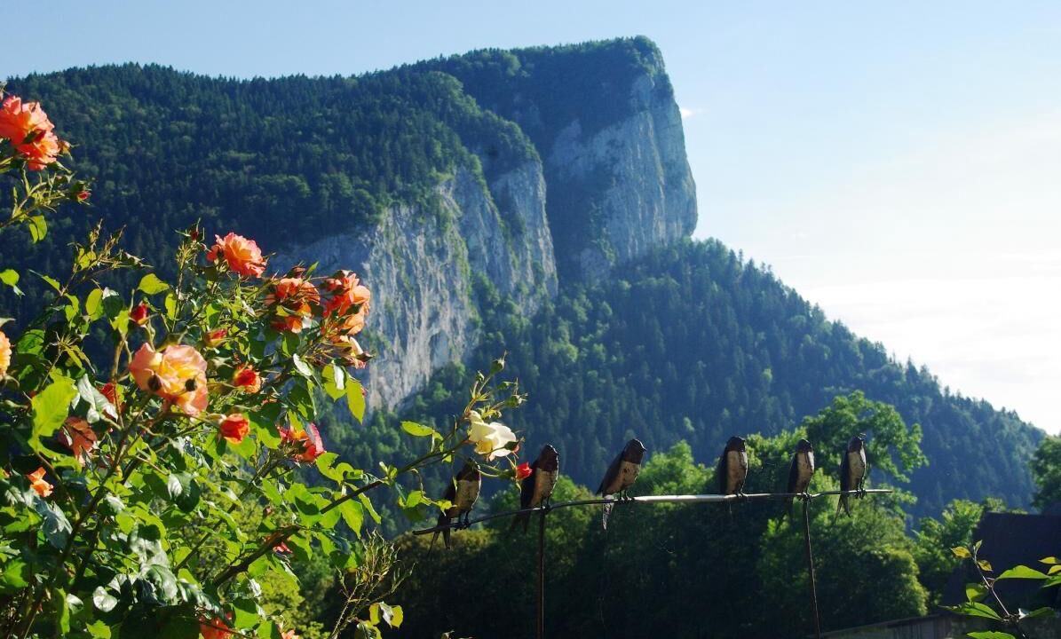 Photo of Outdoor in Corbel