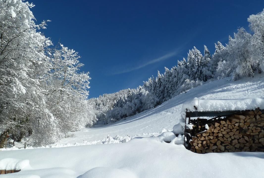 Photo of Others in Corbel