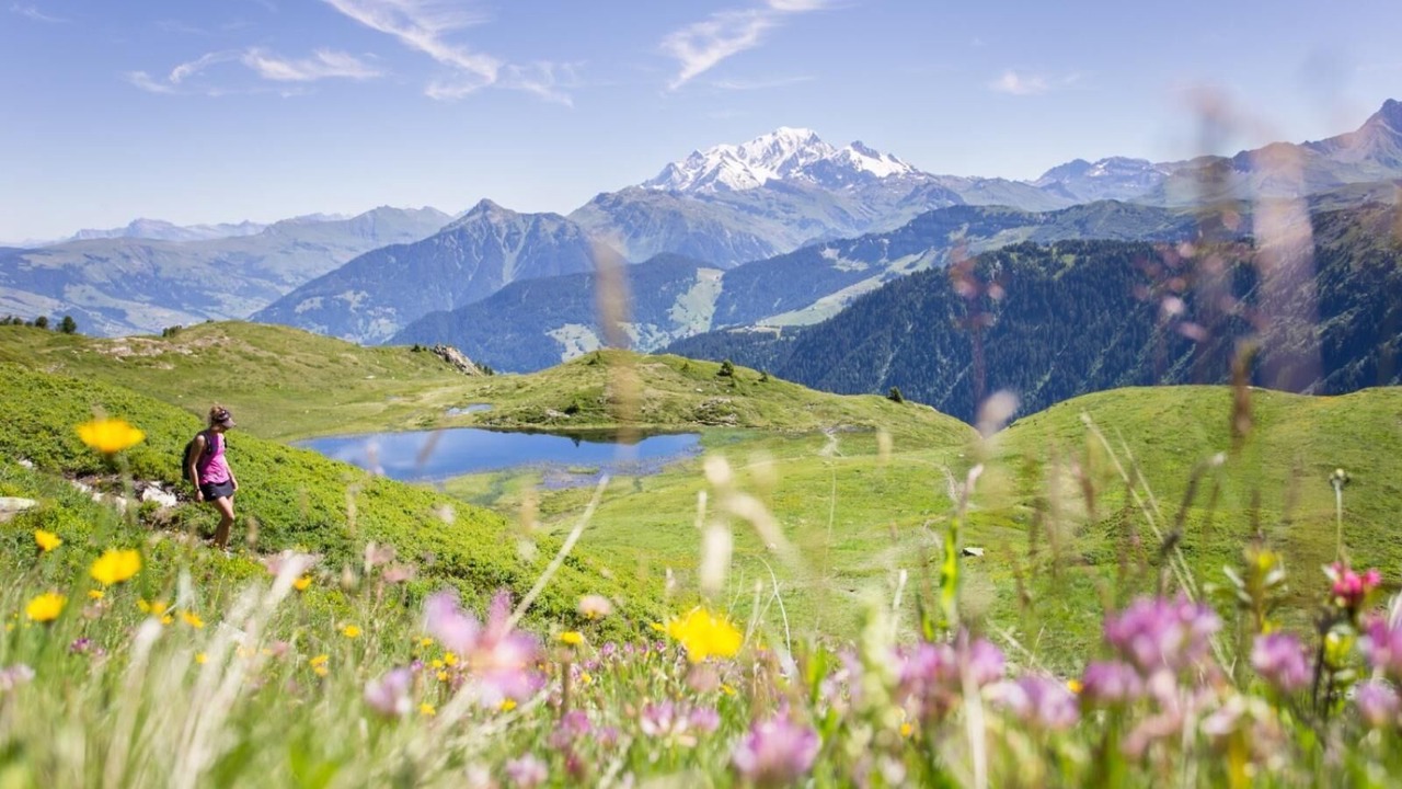 Photo of Others in Pallud