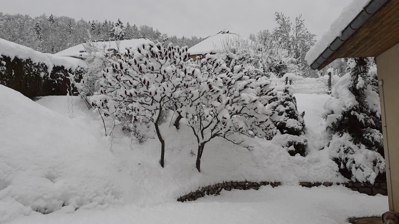 Photo of Outdoor in Entremont-le-Vieux