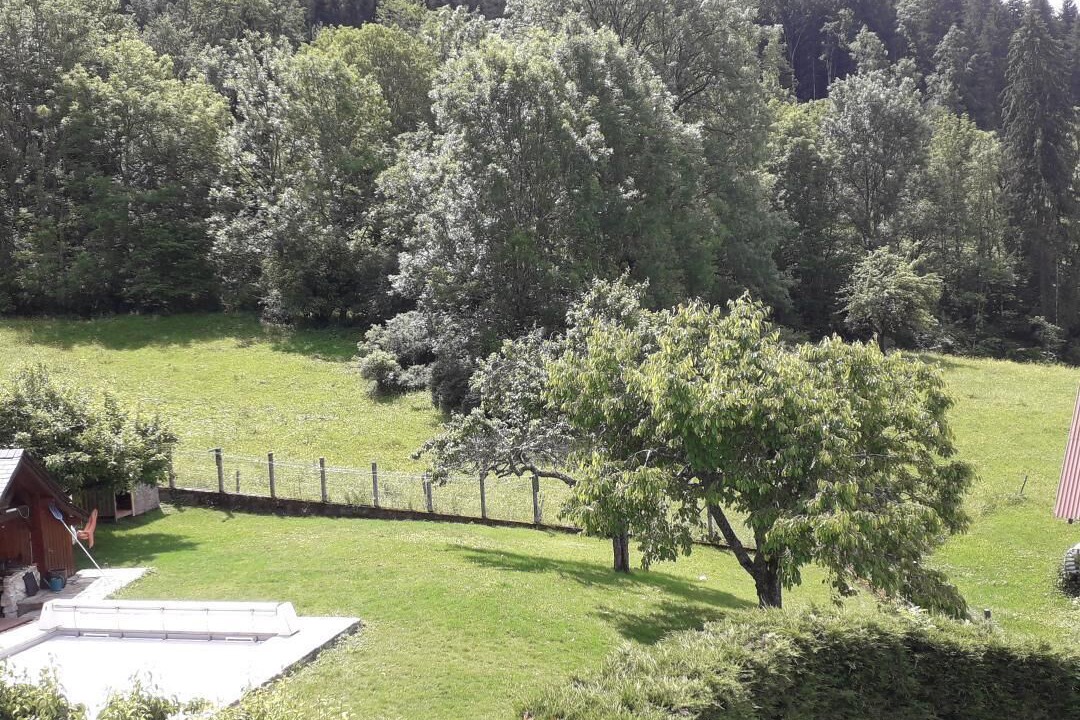 Photo of Outdoor in Entremont-le-Vieux