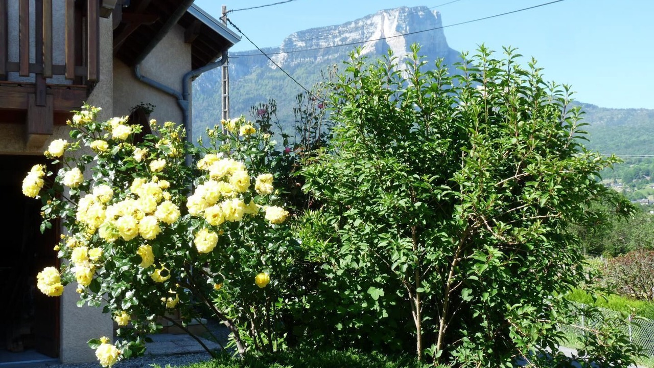 Photo of Outdoor in Les Marches