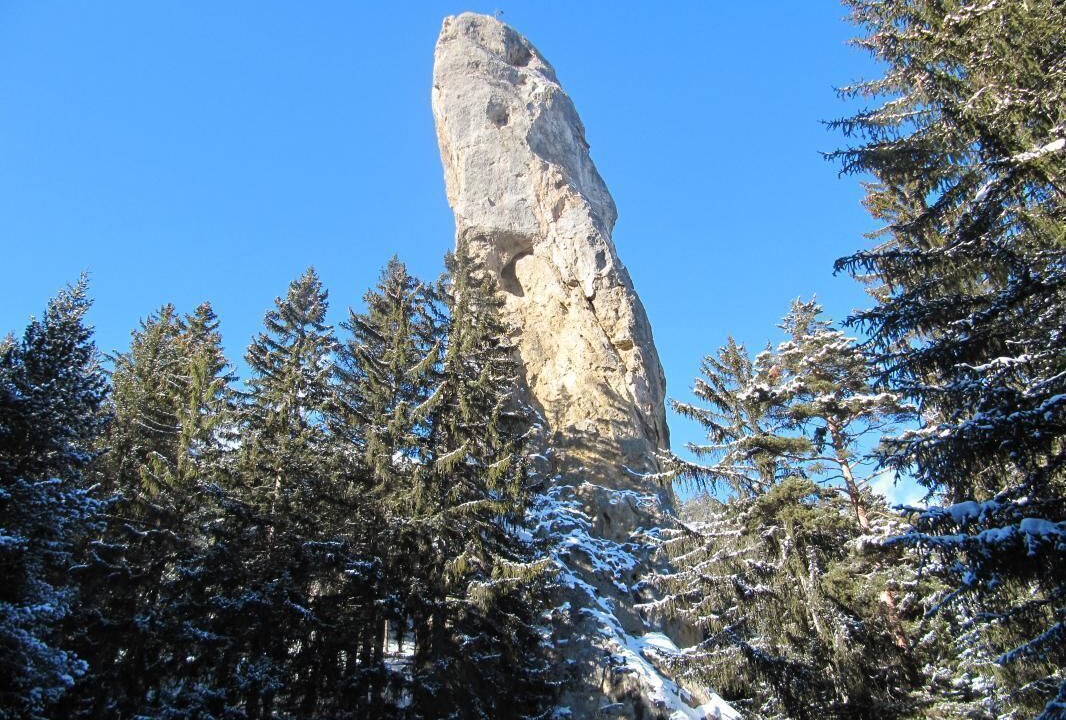 Photo of Others in Sollieres-Sardieres
