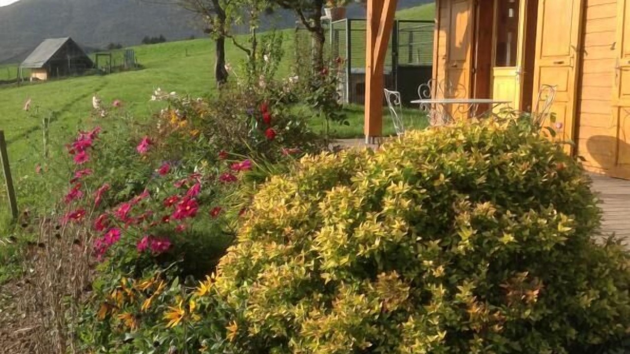 Photo of Outdoor in Bellecombe-en-Beauges