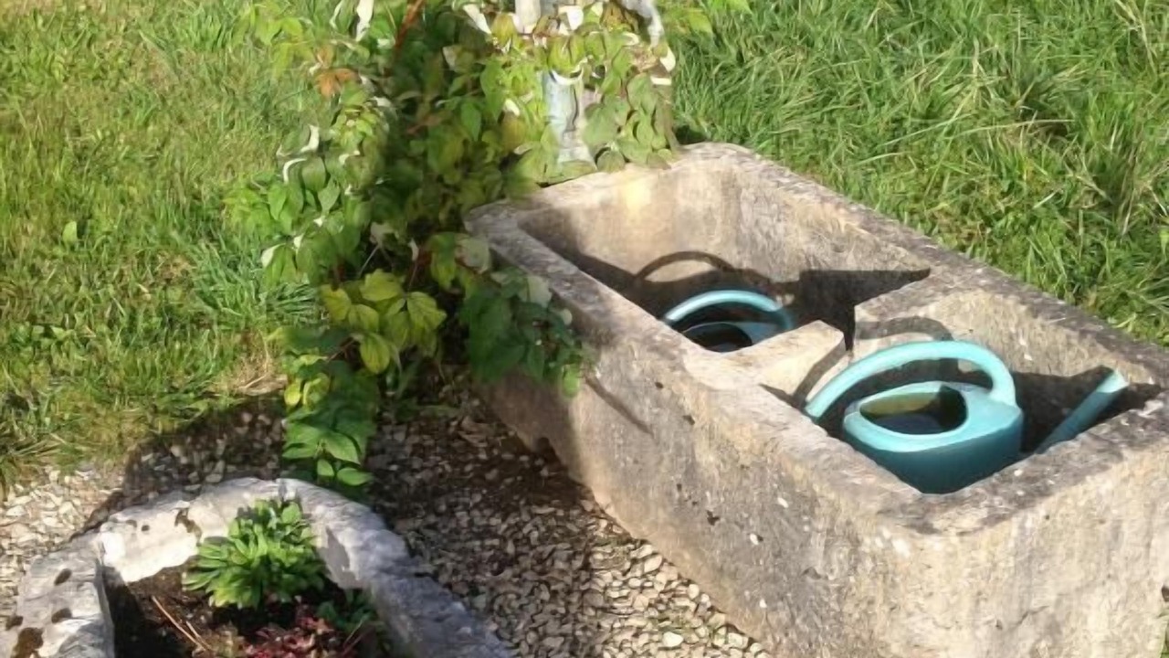 Photo of Outdoor in Bellecombe-en-Beauges