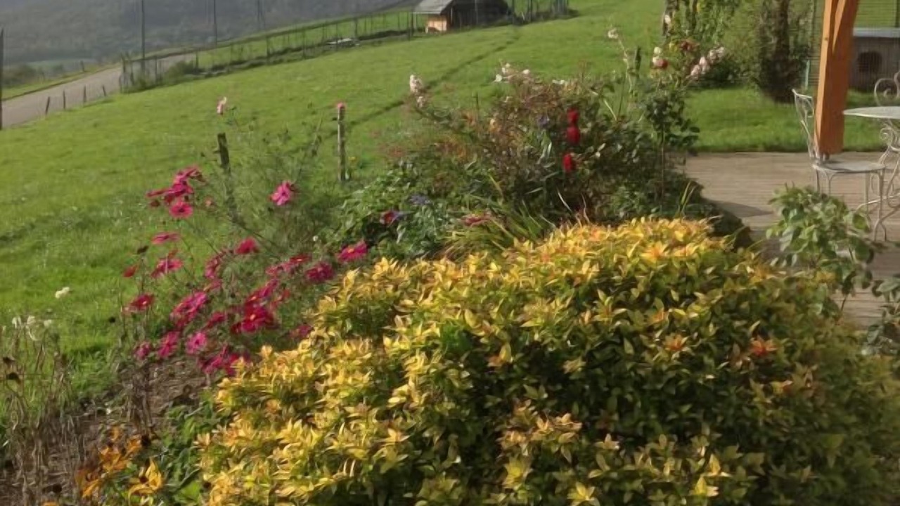 Photo of Outdoor in Bellecombe-en-Beauges