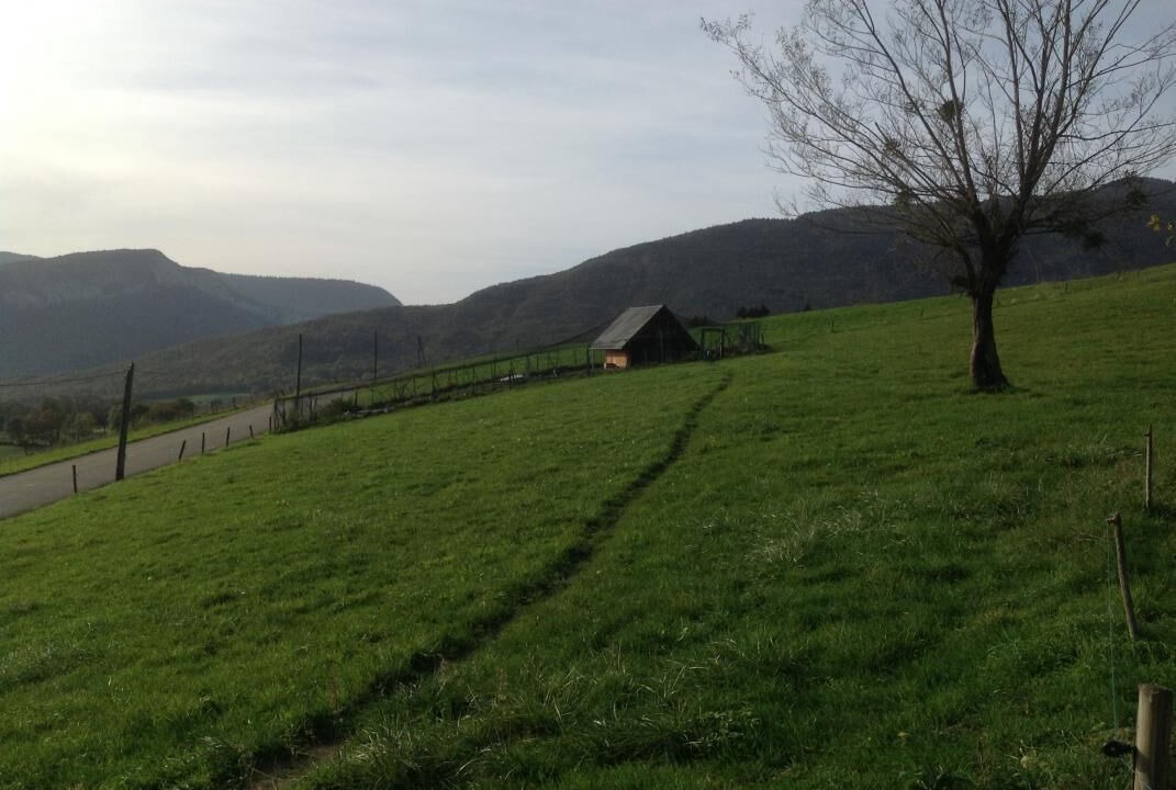 Photo of Others in Bellecombe-en-Beauges