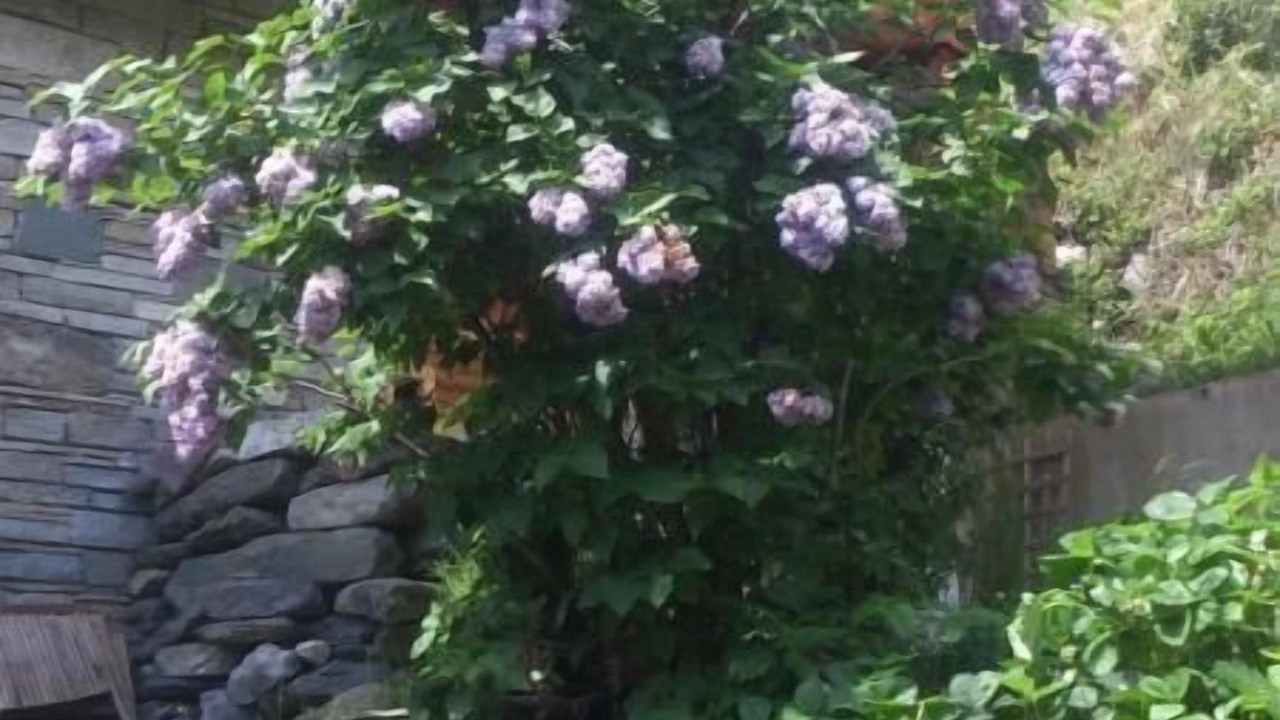 Photo of Outdoor in Villaroger