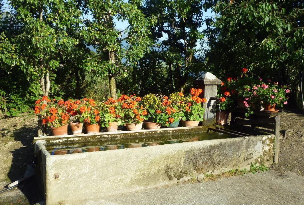 Photo of Outdoor in Pallud