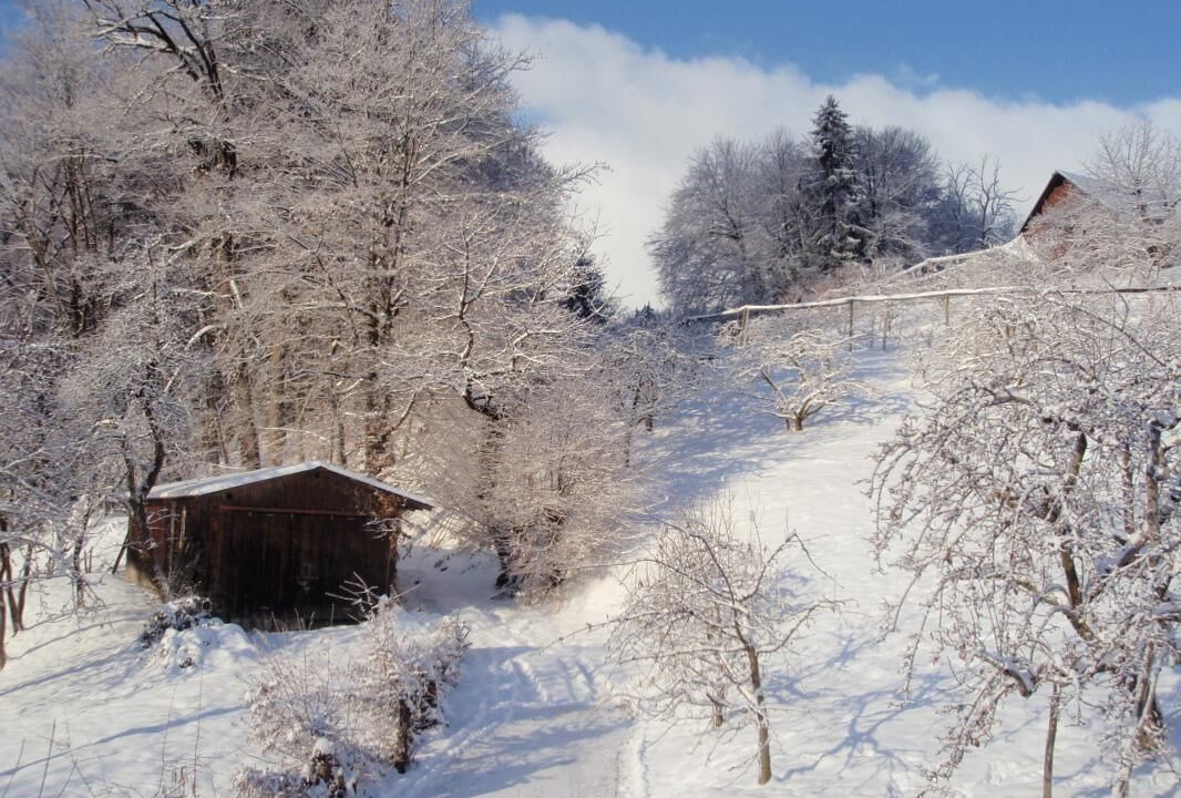 Photo of Outdoor in Pallud