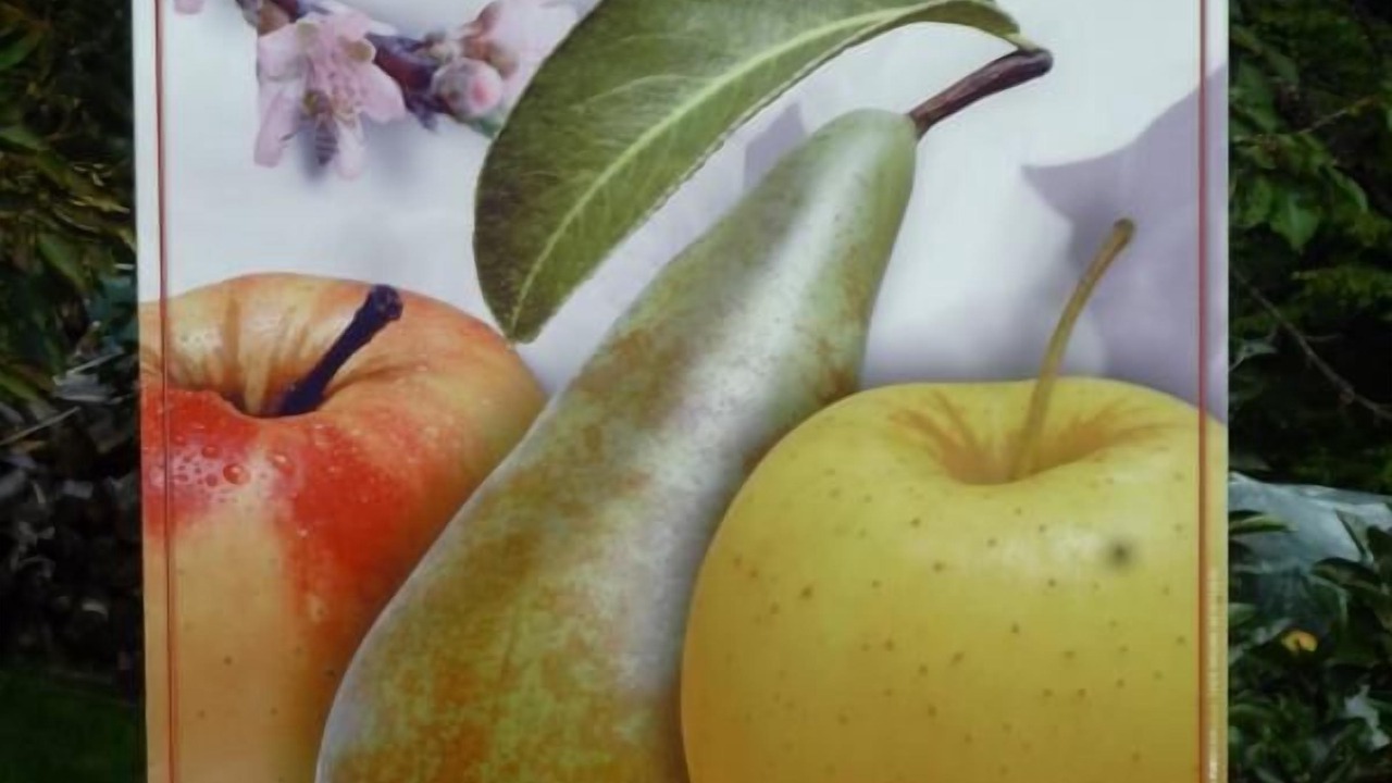 Photo of Outdoor in Pallud