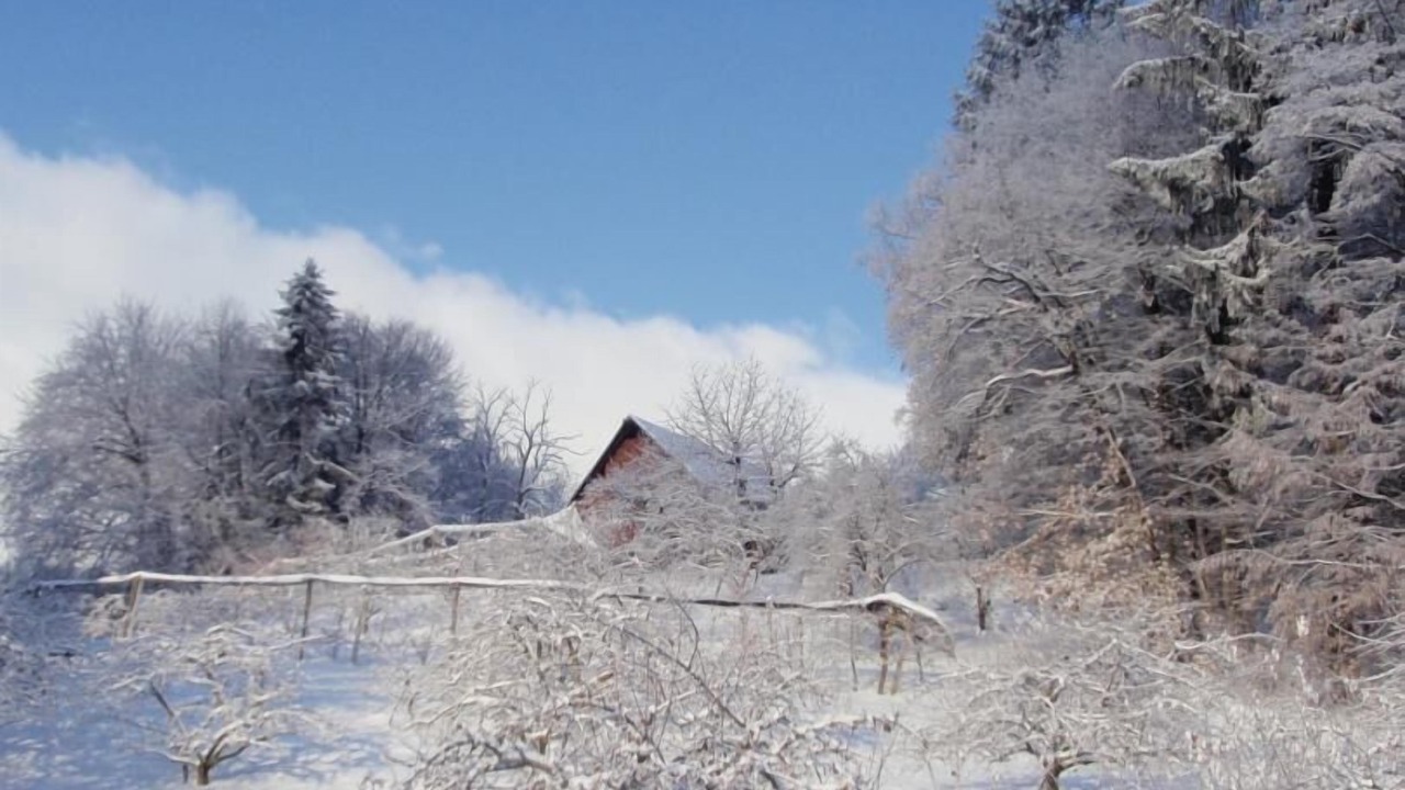 Photo of Others in Pallud