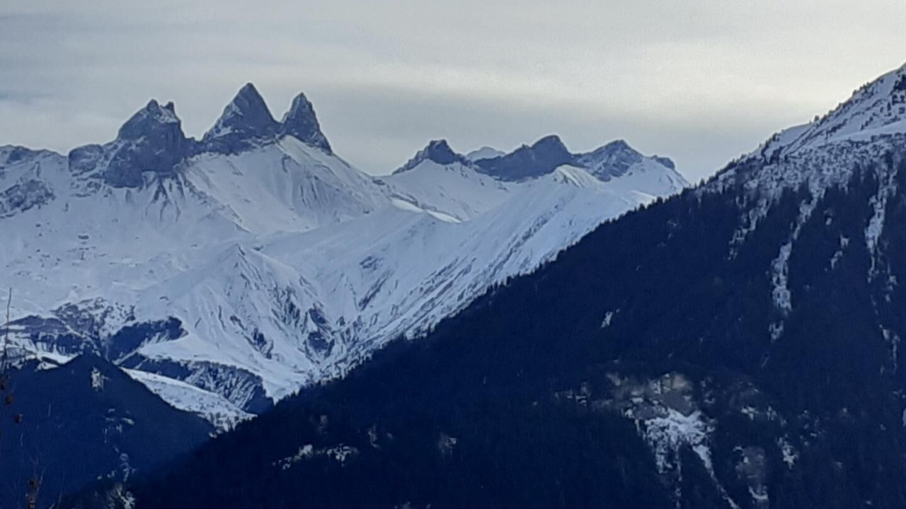 Photo of Others in Les Bottieres