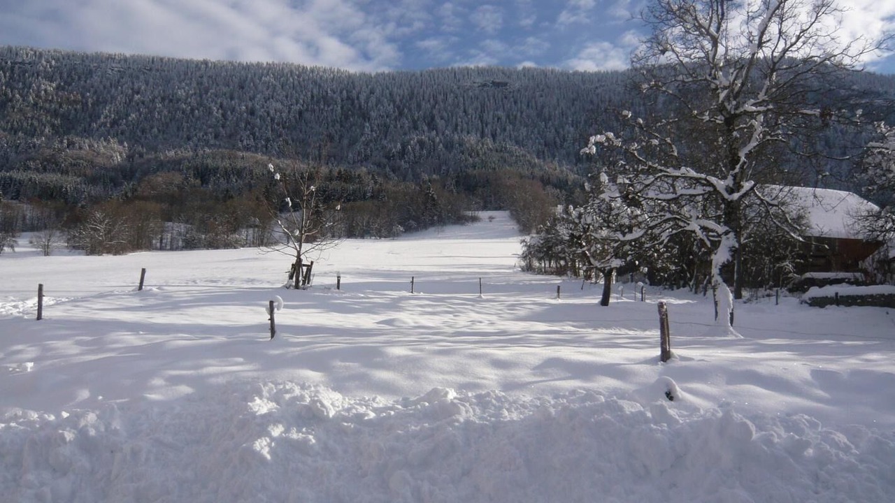 Photo of Others in Le Noyer