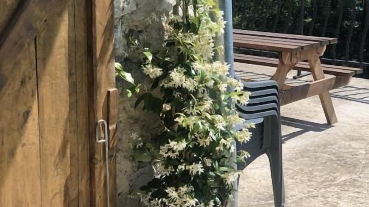 Photo of Patio Balcony in Le Bourget-du-Lac