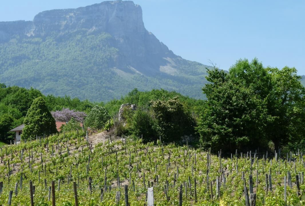 Photo of Others in Les Marches