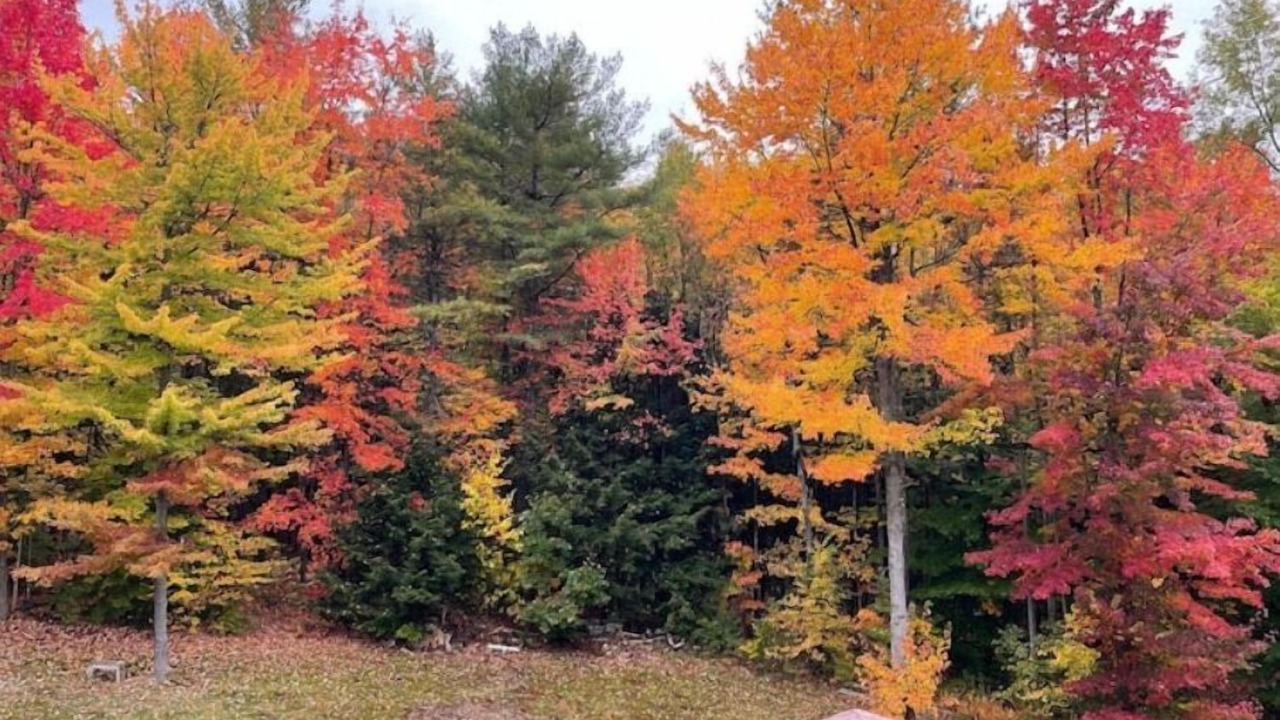 Photo of Others in New London