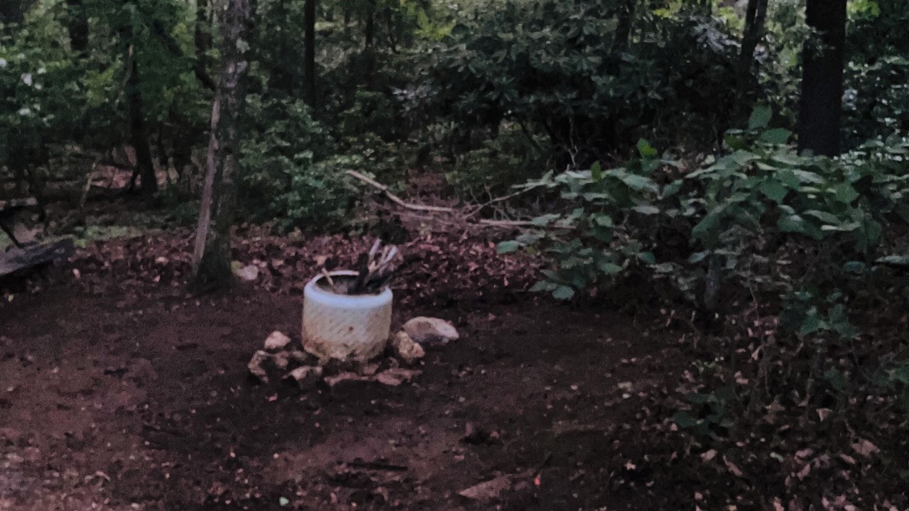 Photo of Outdoor in Fancy Gap