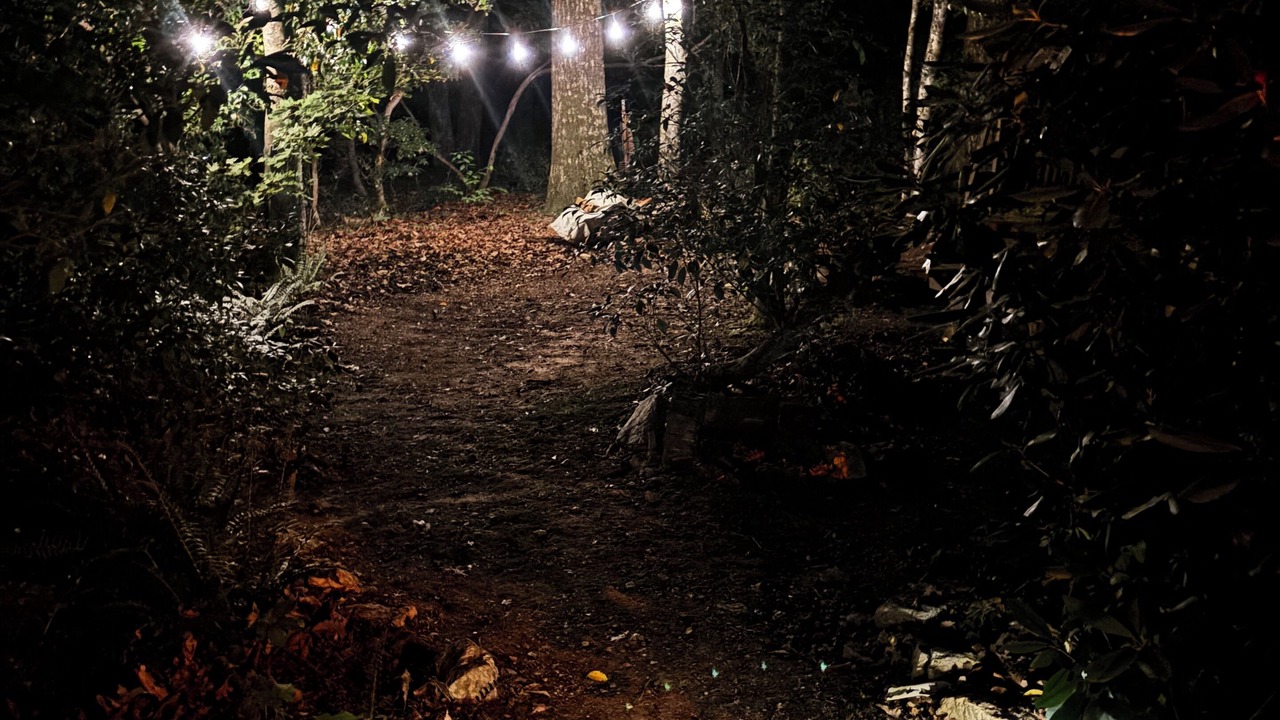 Photo of Outdoor in Fancy Gap