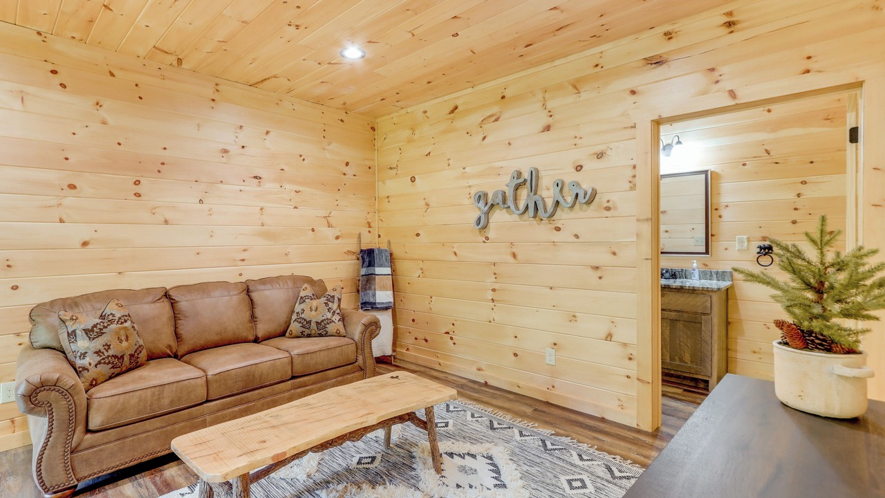 Photo of Livingroom in Mineral Bluff