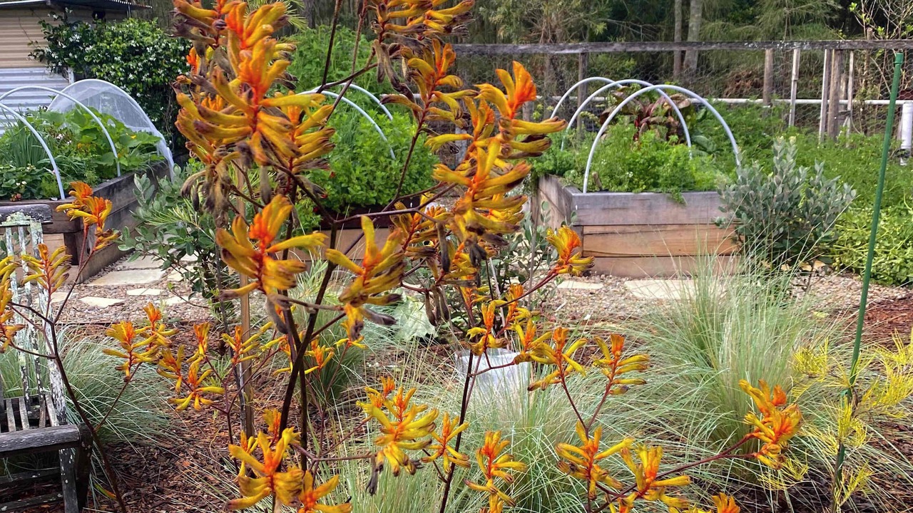 Photo of Outdoor in Bawley Point