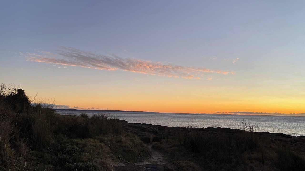 Photo of Others in Bawley Point