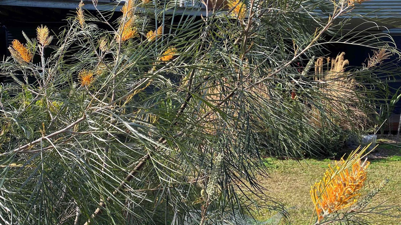 Photo of Outdoor in Bawley Point