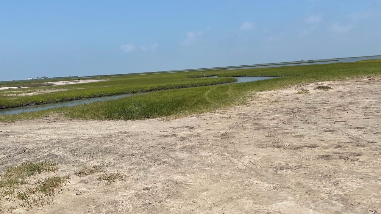 Photo of Others in Galveston