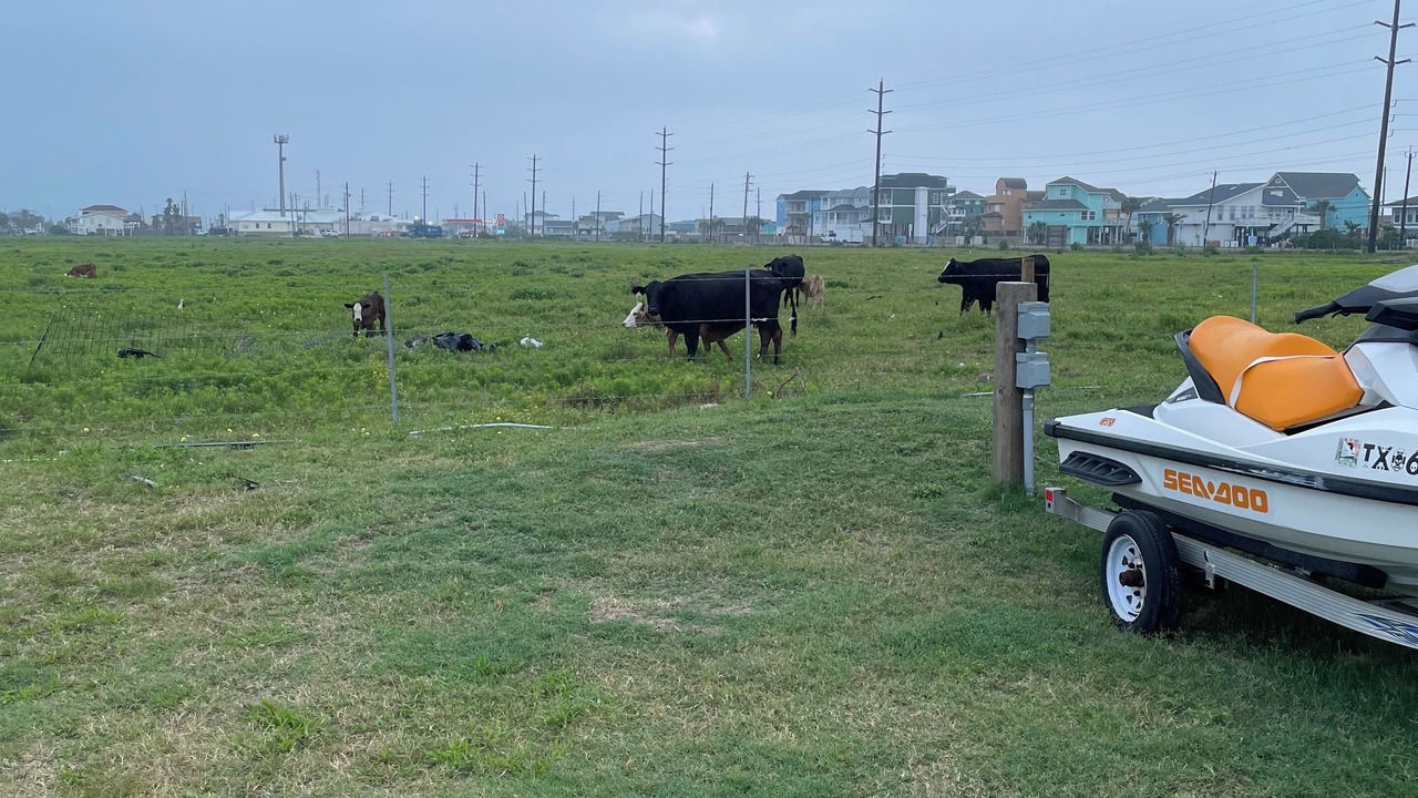 Photo of Outdoor in Galveston
