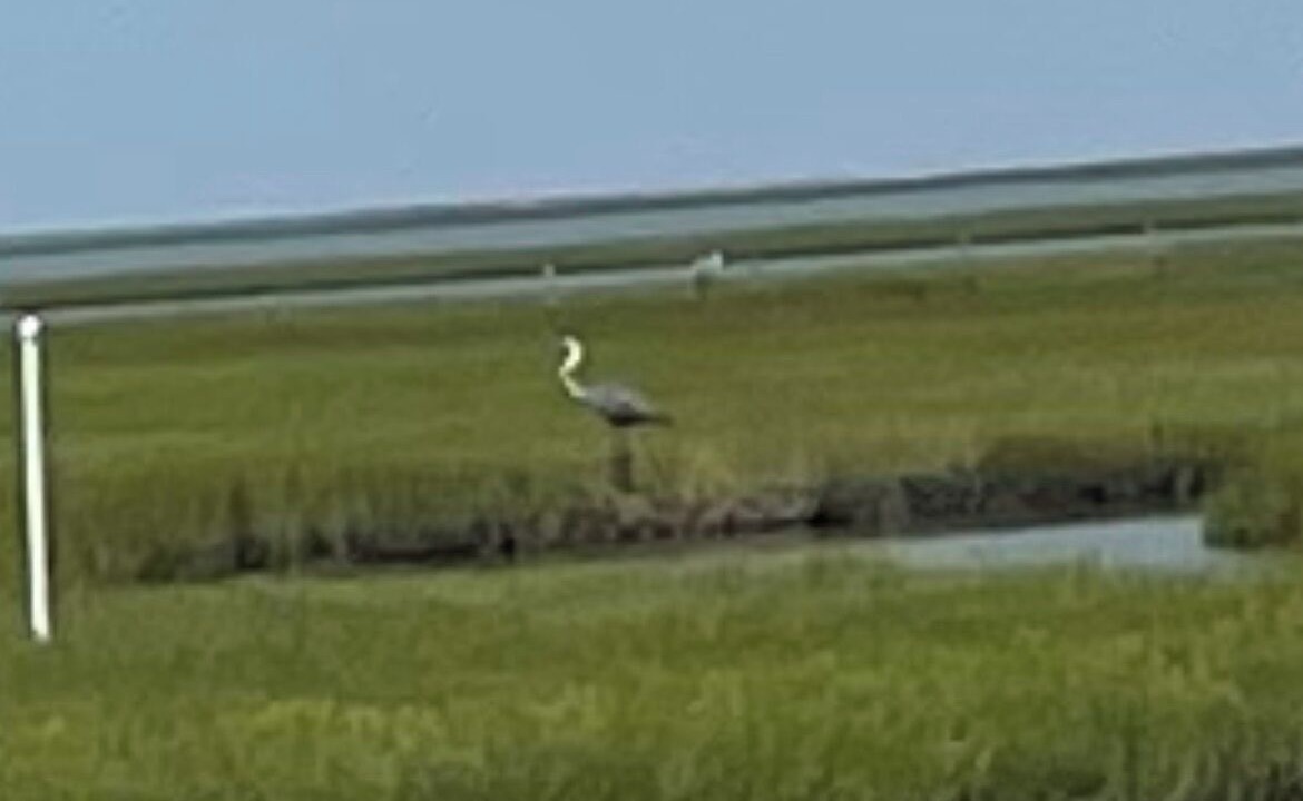 Photo of Outdoor in Galveston