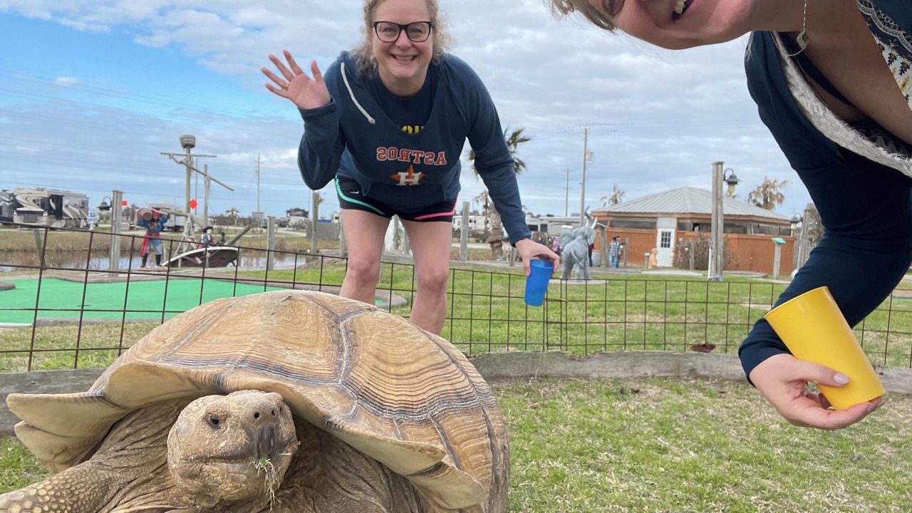Photo of Outdoor in Galveston