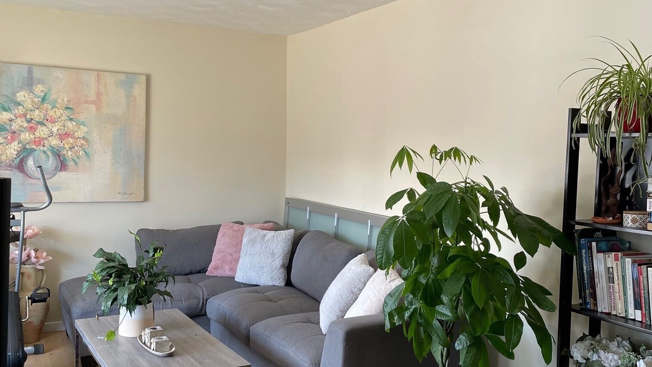 Photo of Livingroom in Downtown Gatineau