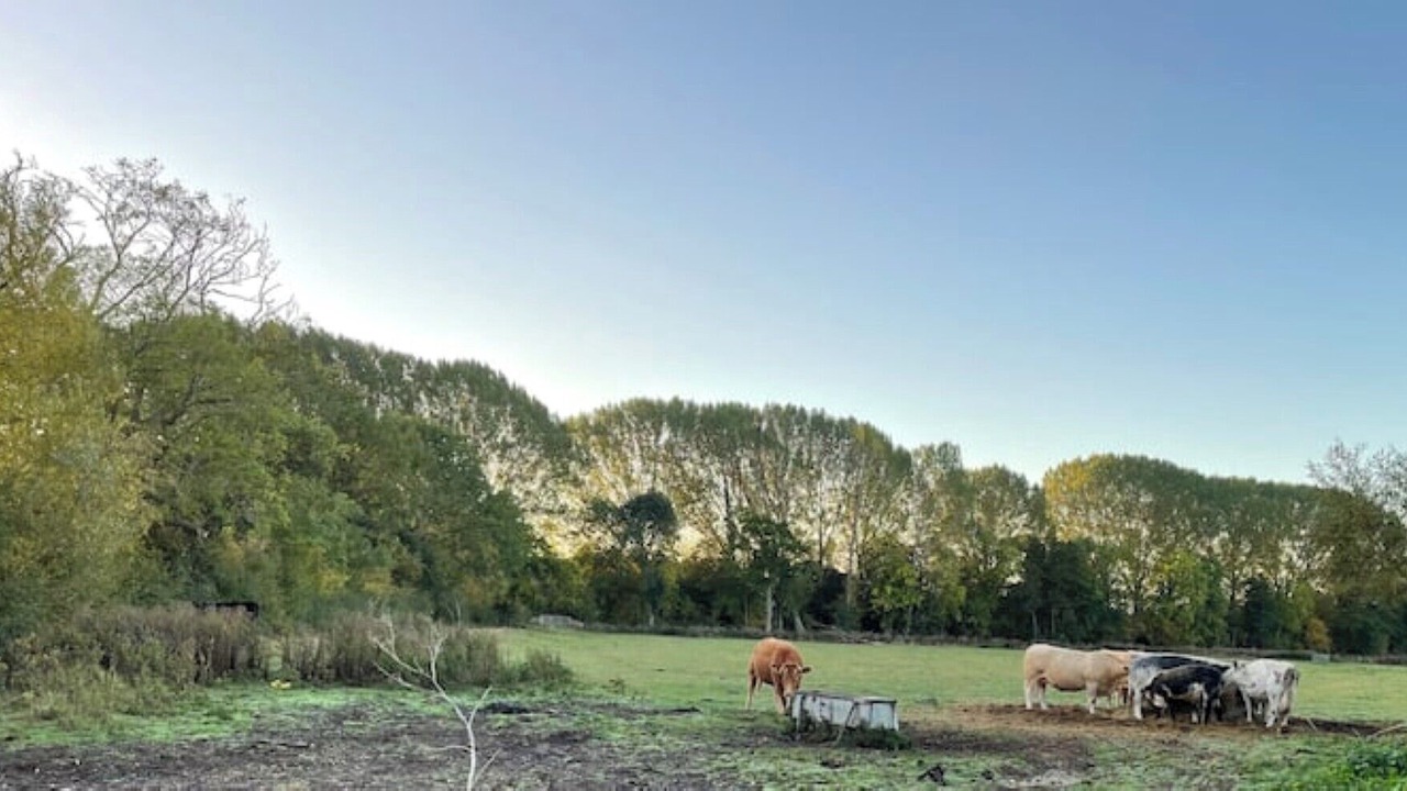 Photo of Outdoor in Harvington