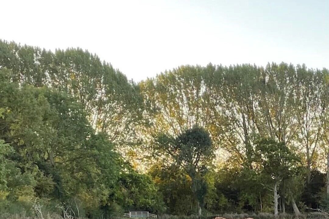 Photo of Others in Harvington