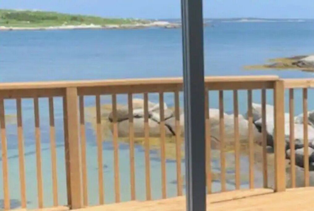 Photo of Outdoor in Terence Bay