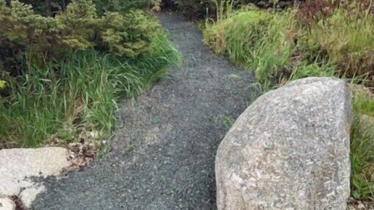 Photo of Others in Terence Bay