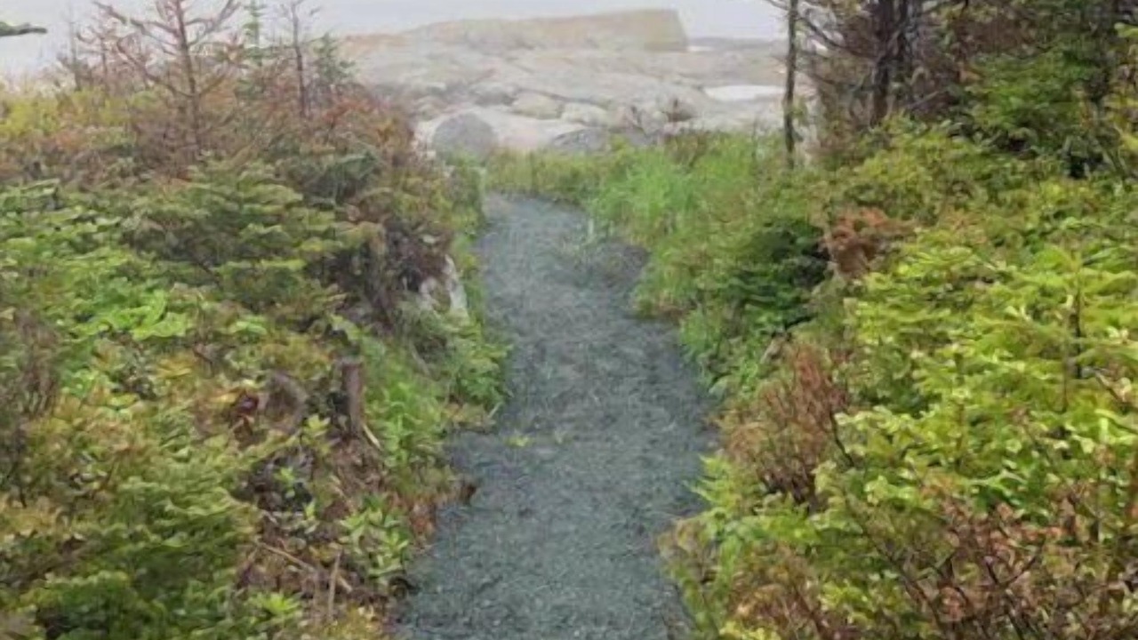 Photo of Others in Terence Bay