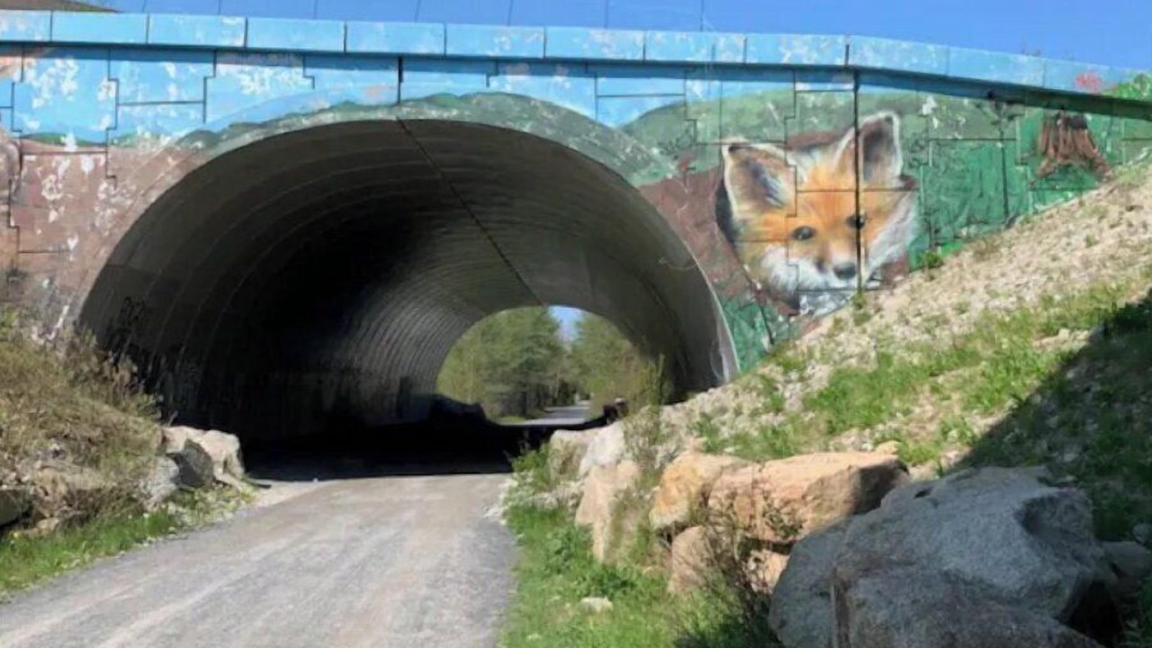 Photo of Others in Terence Bay