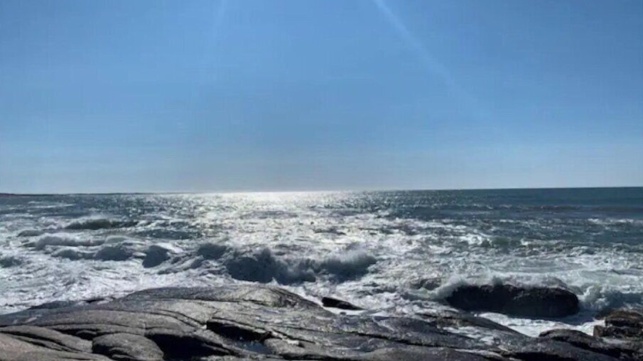 Photo of Others in Terence Bay