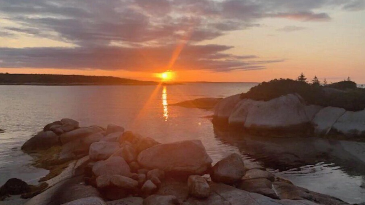 Photo of Others in Terence Bay