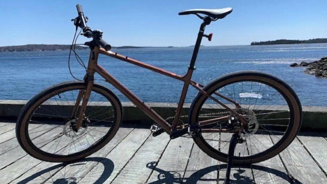 Photo of Others in Terence Bay