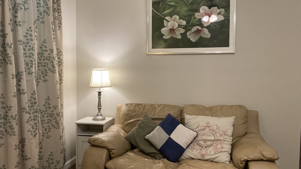 Photo of Livingroom in Chapel Hill