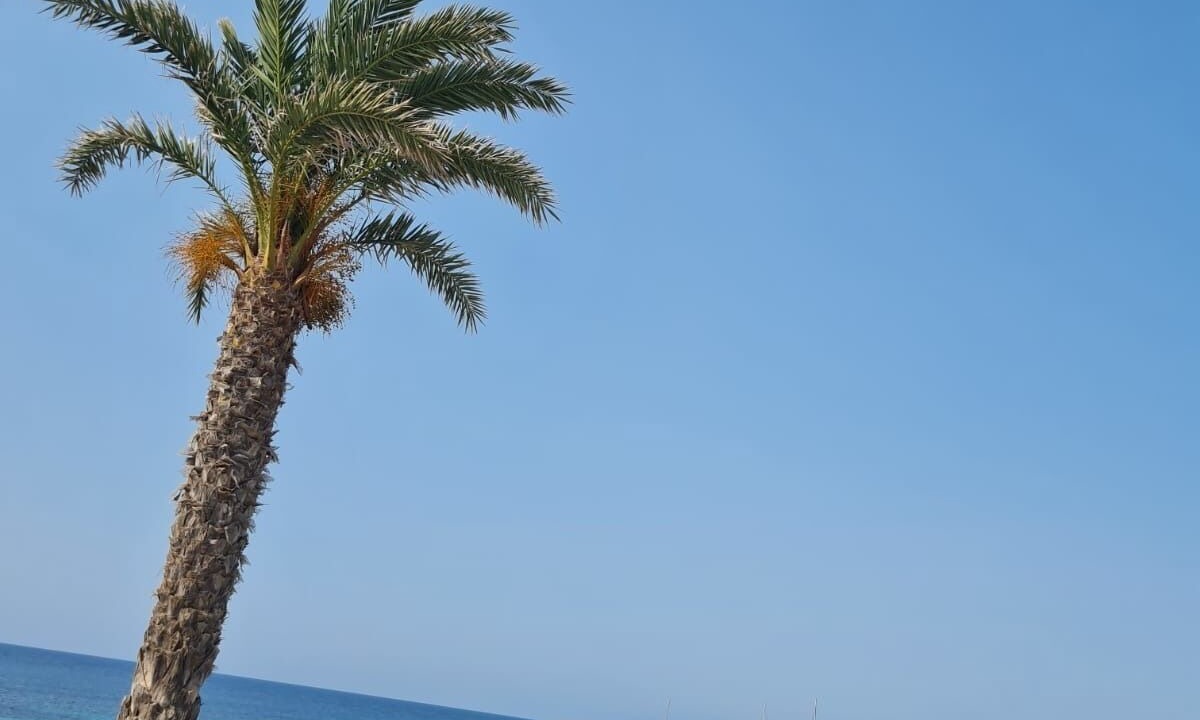 Photo of Others in San Fulgencio