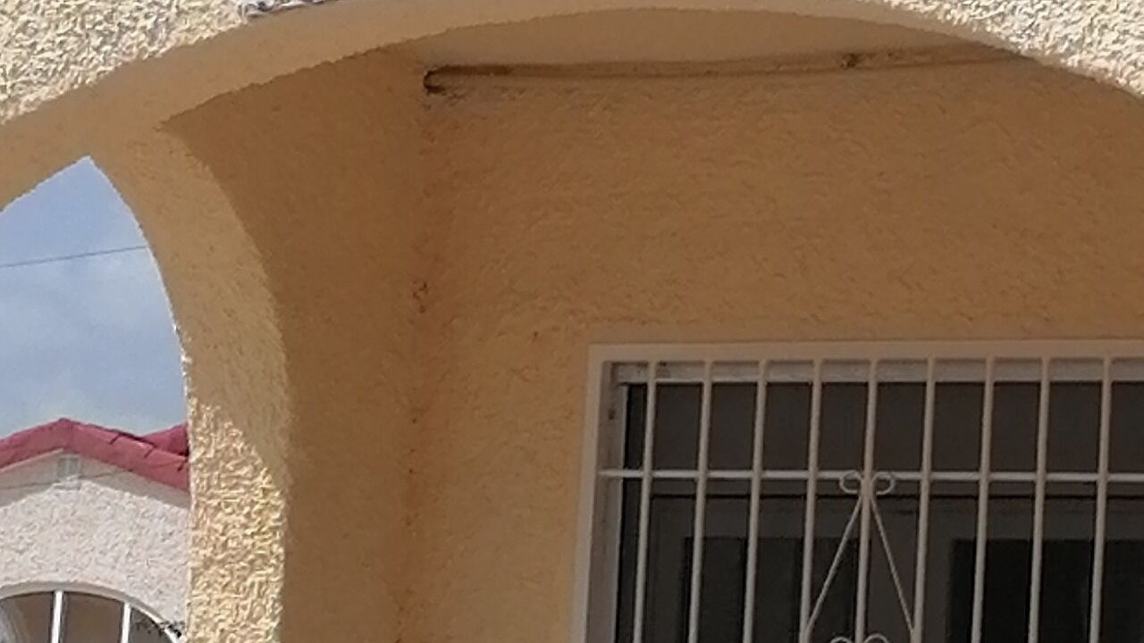 Photo of Outdoor in San Fulgencio
