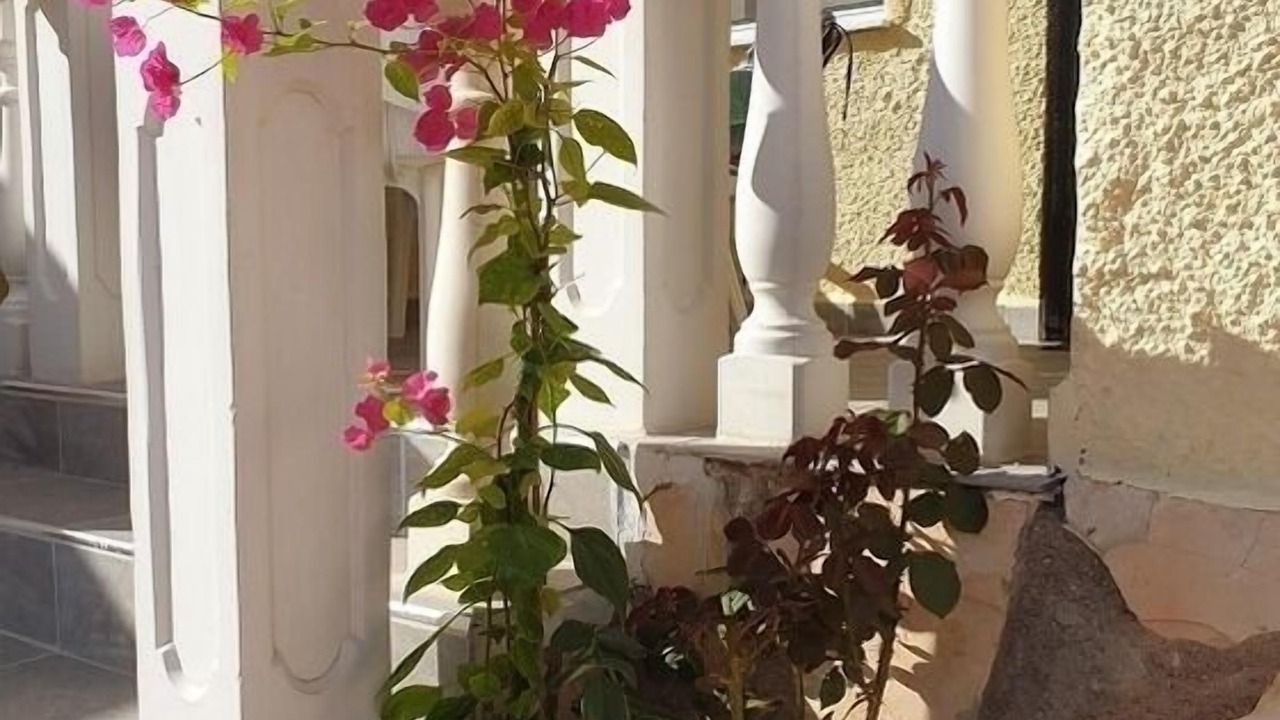 Photo of Outdoor in San Fulgencio
