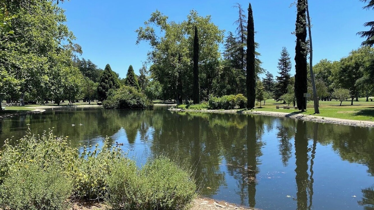 Photo of Others in Citrus Heights