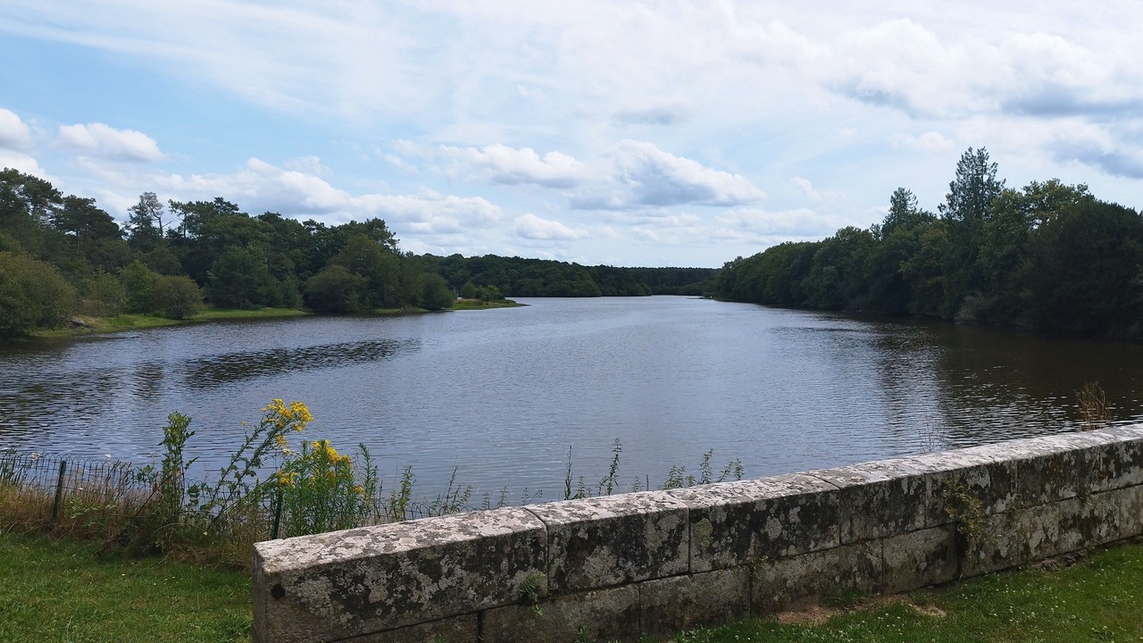 Photo of Others in Paimpont