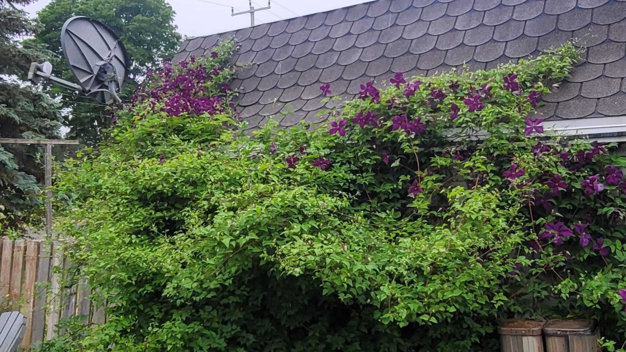 Photo of Outdoor in Chatham-Kent