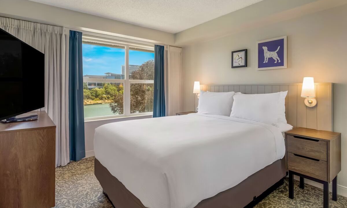 Photo of Others in Oyster Point